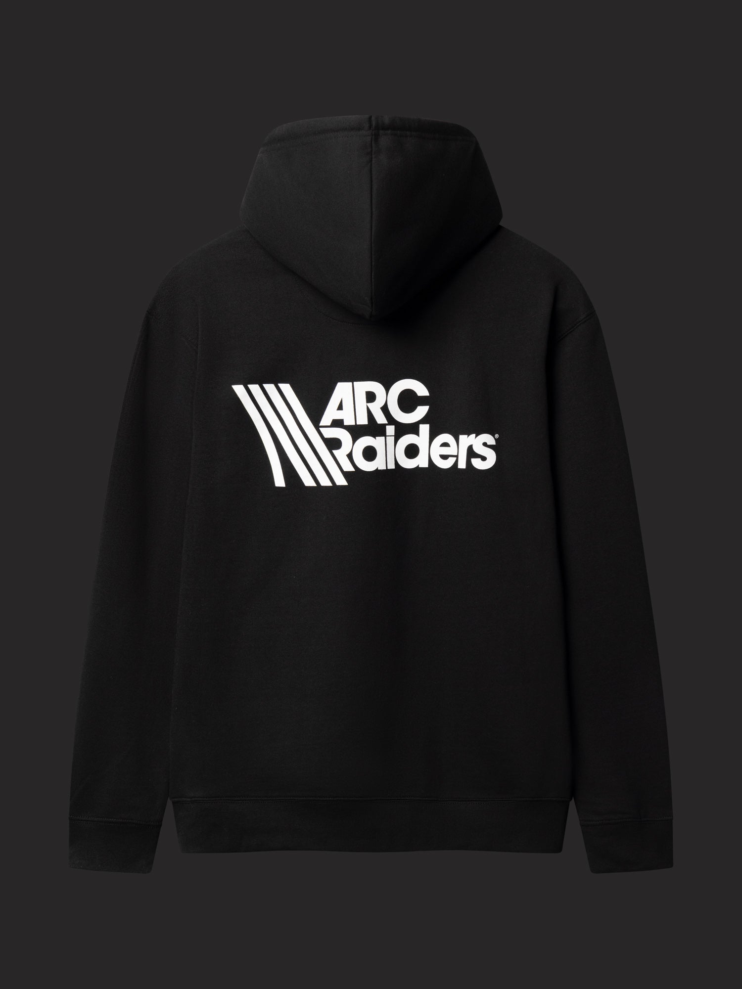 Hoodie Arc Raiders – Embark Studios Shop